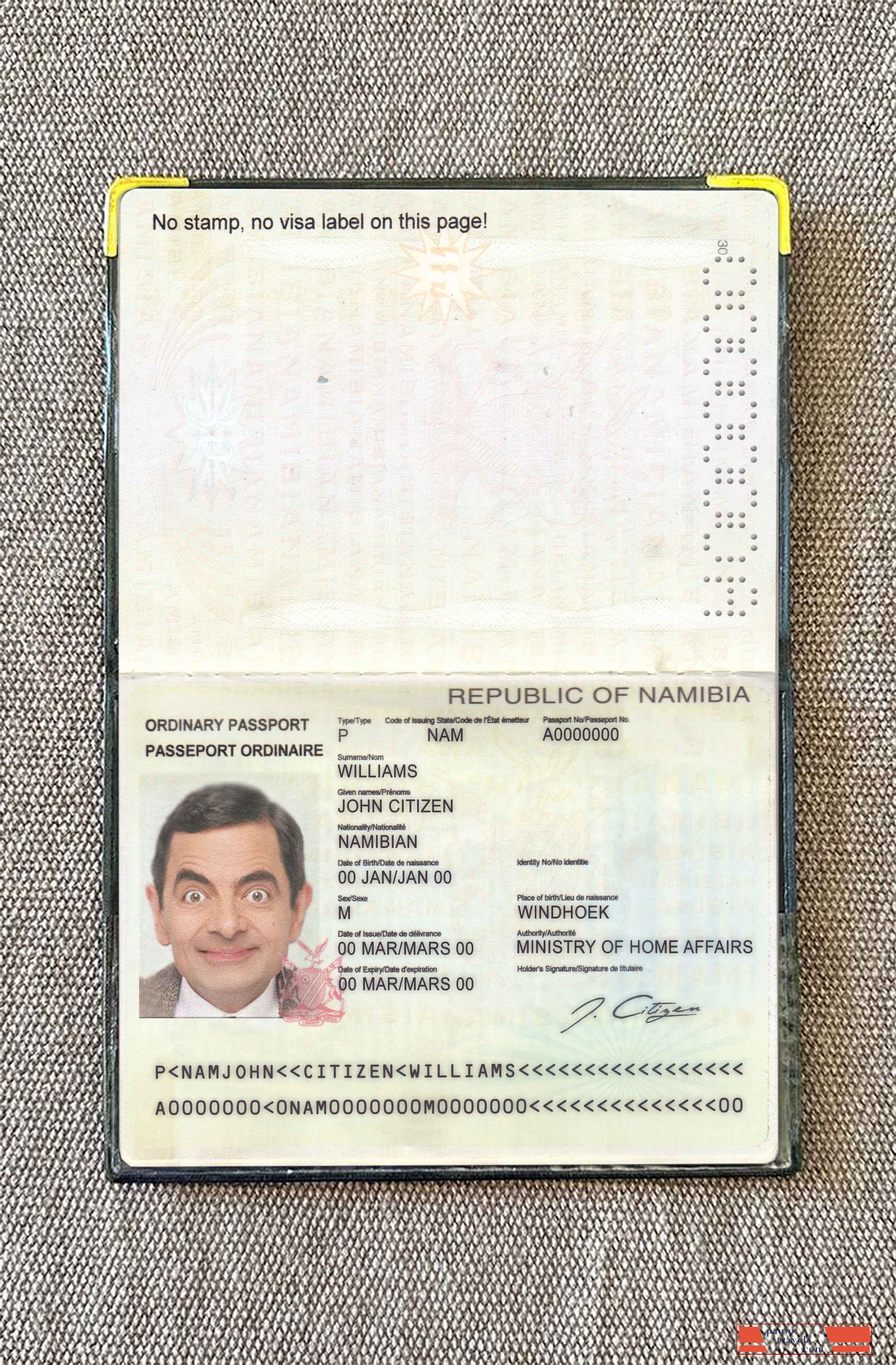 Namibia pass photo look PSD template